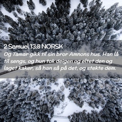 Picture 02 - 2 Samuel 13:8 NORSK - Og Tamar gikk til sin bror Amnons hus. Han lå - Bible Verse Picture