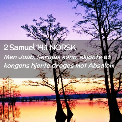 Picture 02 - 2 Samuel 14:1 NORSK - Men Joab, Serujas sønn, skjønte at kongens - Bible Verse Picture
