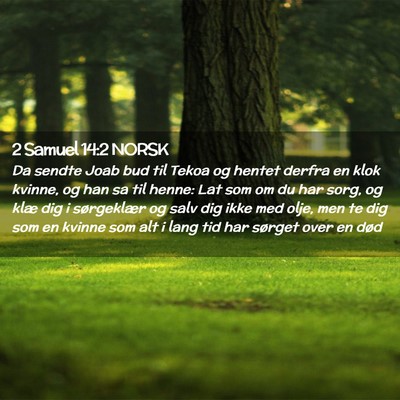 Picture 02 - 2 Samuel 14:2 NORSK - Da sendte Joab bud til Tekoa og hentet derfra en - Bible Verse Picture