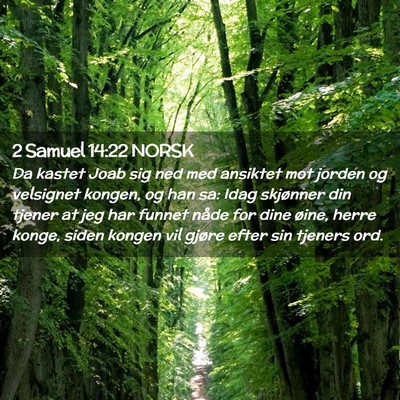Picture 02 - 2 Samuel 14:22 NORSK - Da kastet Joab sig ned med ansiktet mot jorden og - Bible Verse Picture