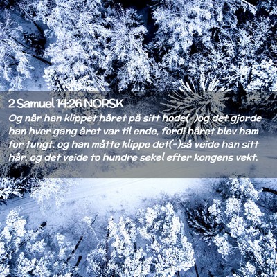 Picture 02 - 2 Samuel 14:26 NORSK - Og når han klippet håret på sitt hode(-)og det - Bible Verse Picture