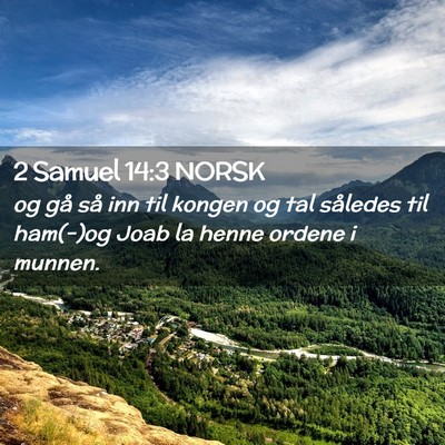 Picture 02 - 2 Samuel 14:3 NORSK - og gå så inn til kongen og tal således til - Bible Verse Picture