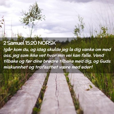 Picture 02 - 2 Samuel 15:20 NORSK - Igår kom du, og idag skulde jeg la dig vanke om - Bible Verse Picture