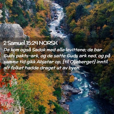 Picture 02 - 2 Samuel 15:24 NORSK - Da kom også Sadok med alle levittene; de bar - Bible Verse Picture