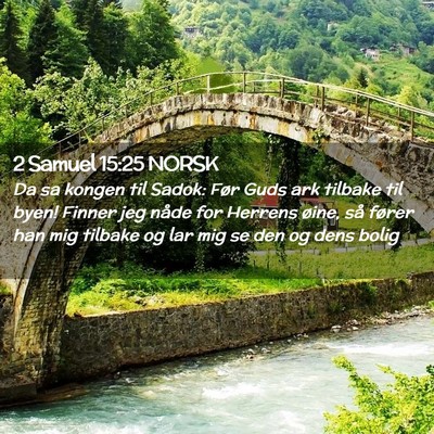 Picture 02 - 2 Samuel 15:25 NORSK - Da sa kongen til Sadok: Før Guds ark tilbake til - Bible Verse Picture