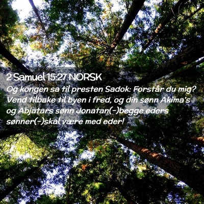 Picture 02 - 2 Samuel 15:27 NORSK - Og kongen sa til presten Sadok: Forstår du mig? - Bible Verse Picture