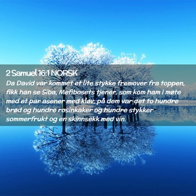 Picture 02 - 2 Samuel 16:1 NORSK - Da David var kommet et lite stykke fremover fra - Bible Verse Picture