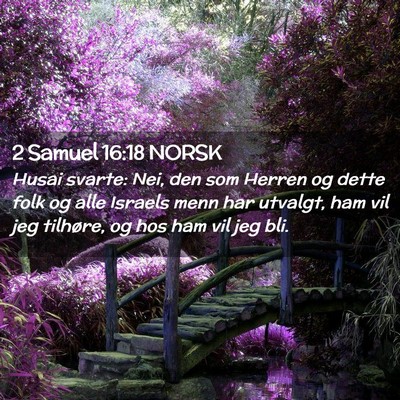 Picture 02 - 2 Samuel 16:18 NORSK - Husai svarte: Nei, den som Herren og dette folk - Bible Verse Picture