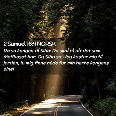 Picture 02 - 2 Samuel 16:4 NORSK - Da sa kongen til Siba: Du skal få alt det som - Bible Verse Picture