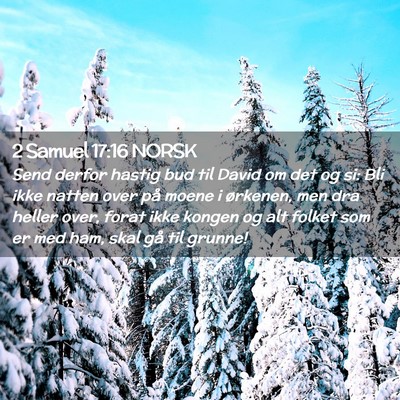 Picture 02 - 2 Samuel 17:16 NORSK - Send derfor hastig bud til David om det og si: - Bible Verse Picture