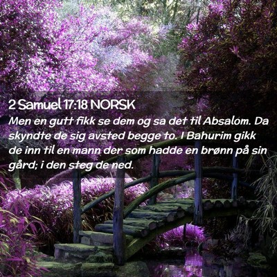 Picture 02 - 2 Samuel 17:18 NORSK - Men en gutt fikk se dem og sa det til Absalom. Da - Bible Verse Picture