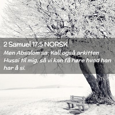 Picture 02 - 2 Samuel 17:5 NORSK - Men Absalom sa: Kall også arkitten Husai til - Bible Verse Picture
