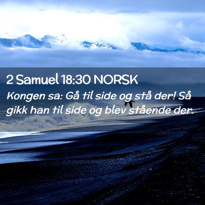 Picture 02 - 2 Samuel 18:30 NORSK - Kongen sa: Gå til side og stå der! Så gikk han - Bible Verse Picture