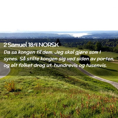 Picture 02 - 2 Samuel 18:4 NORSK - Da sa kongen til dem: Jeg skal gjøre som I - Bible Verse Picture