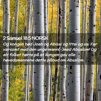 Picture 02 - 2 Samuel 18:5 NORSK - Og kongen bød Joab og Abisai og Ittai og sa: Far - Bible Verse Picture