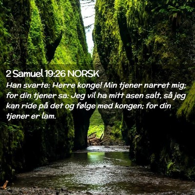 Picture 02 - 2 Samuel 19:26 NORSK - Han svarte: Herre konge! Min tjener narret mig; - Bible Verse Picture