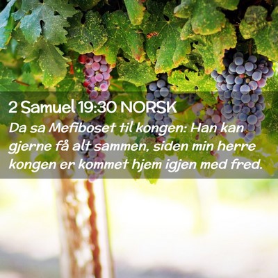 Picture 02 - 2 Samuel 19:30 NORSK - Da sa Mefiboset til kongen: Han kan gjerne få - Bible Verse Picture