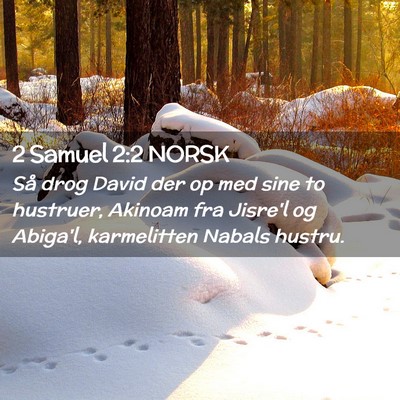 Picture 02 - 2 Samuel 2:2 NORSK - Så drog David der op med sine to hustruer, - Bible Verse Picture