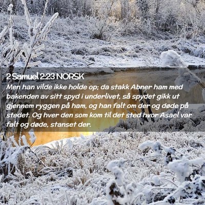 Picture 02 - 2 Samuel 2:23 NORSK - Men han vilde ikke holde op; da stakk Abner ham - Bible Verse Picture