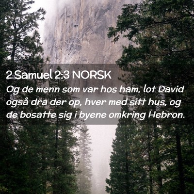 Picture 02 - 2 Samuel 2:3 NORSK - Og de menn som var hos ham, lot David også dra - Bible Verse Picture