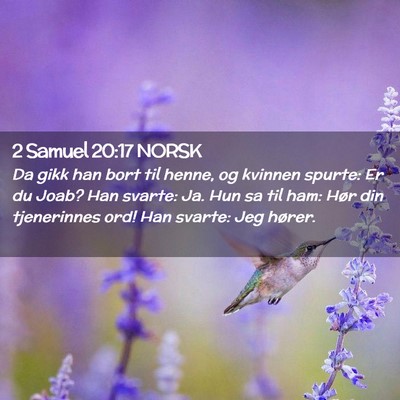 Picture 02 - 2 Samuel 20:17 NORSK - Da gikk han bort til henne, og kvinnen spurte: Er - Bible Verse Picture