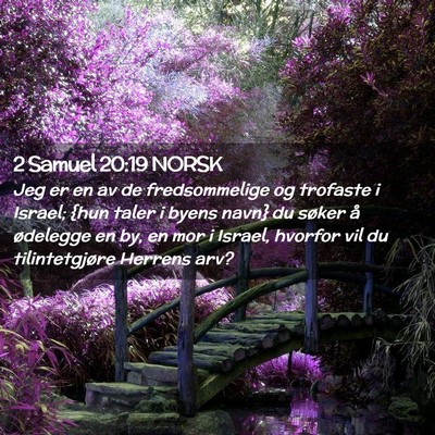 Picture 02 - 2 Samuel 20:19 NORSK - Jeg er en av de fredsommelige og trofaste i - Bible Verse Picture