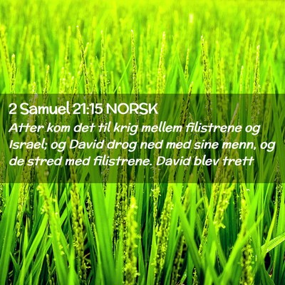 Picture 02 - 2 Samuel 21:15 NORSK - Atter kom det til krig mellem filistrene og - Bible Verse Picture