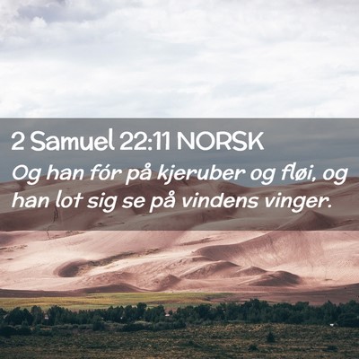 Picture 02 - 2 Samuel 22:11 NORSK - Og han fór på kjeruber og fløi, og han lot sig - Bible Verse Picture