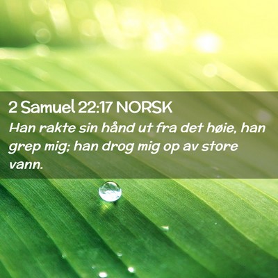 Picture 02 - 2 Samuel 22:17 NORSK - Han rakte sin hånd ut fra det høie, han grep - Bible Verse Picture