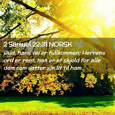 Picture 02 - 2 Samuel 22:31 NORSK - Gud, hans vei er fullkommen; Herrens ord er rent, - Bible Verse Picture