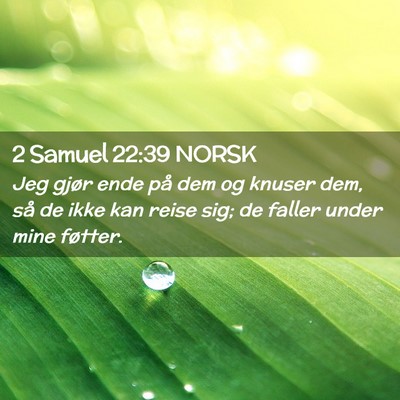 Picture 02 - 2 Samuel 22:39 NORSK - Jeg gjør ende på dem og knuser dem, så de ikke - Bible Verse Picture
