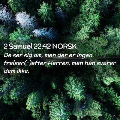 Picture 02 - 2 Samuel 22:42 NORSK - De ser sig om, men der er ingen frelser(-)efter - Bible Verse Picture