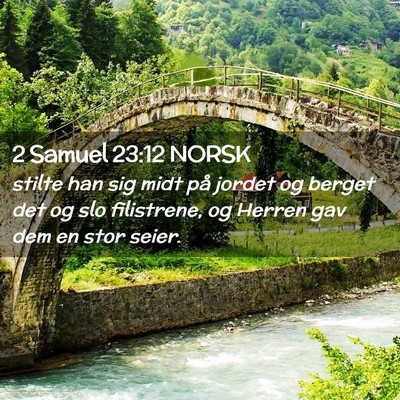 Picture 02 - 2 Samuel 23:12 NORSK - stilte han sig midt på jordet og berget det og - Bible Verse Picture