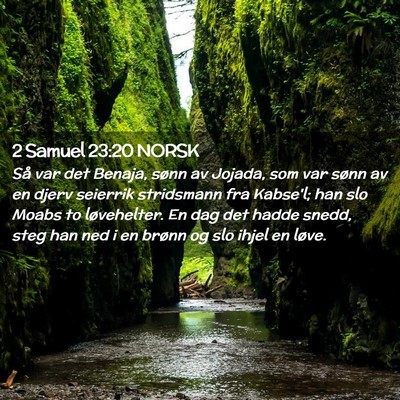 Picture 02 - 2 Samuel 23:20 NORSK - Så var det Benaja, sønn av Jojada, som var - Bible Verse Picture