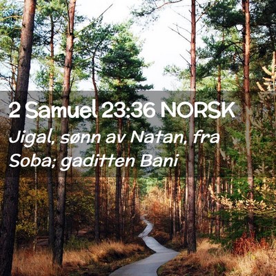 Picture 02 - 2 Samuel 23:36 NORSK - Jigal, sønn av Natan, fra Soba; gaditten - Bible Verse Picture