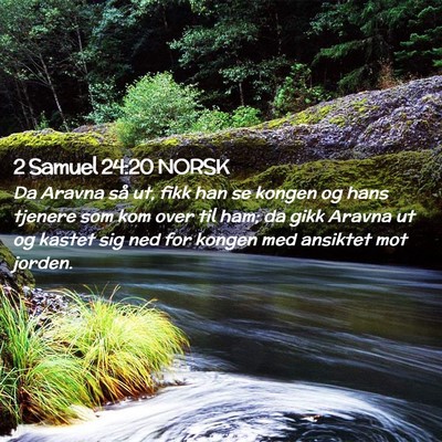 Picture 02 - 2 Samuel 24:20 NORSK - Da Aravna så ut, fikk han se kongen og hans - Bible Verse Picture