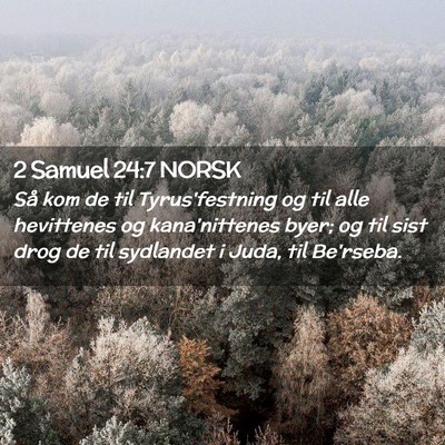 Picture 02 - 2 Samuel 24:7 NORSK - Så kom de til Tyrus'festning og til alle - Bible Verse Picture
