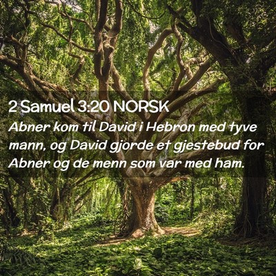 Picture 02 - 2 Samuel 3:20 NORSK - Abner kom til David i Hebron med tyve mann, og - Bible Verse Picture
