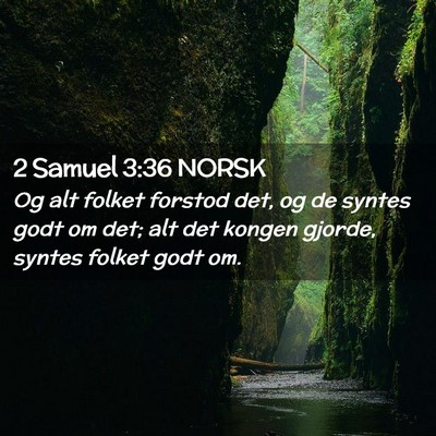 Picture 02 - 2 Samuel 3:36 NORSK - Og alt folket forstod det, og de syntes godt om - Bible Verse Picture