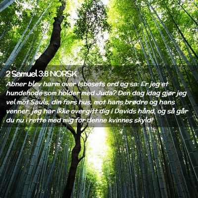 Picture 02 - 2 Samuel 3:8 NORSK - Abner blev harm over Isbosets ord og sa: Er jeg - Bible Verse Picture
