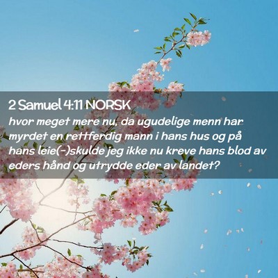Picture 02 - 2 Samuel 4:11 NORSK - hvor meget mere nu, da ugudelige menn har myrdet - Bible Verse Picture