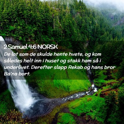 Picture 02 - 2 Samuel 4:6 NORSK - De lot som de skulde hente hvete, og kom således - Bible Verse Picture