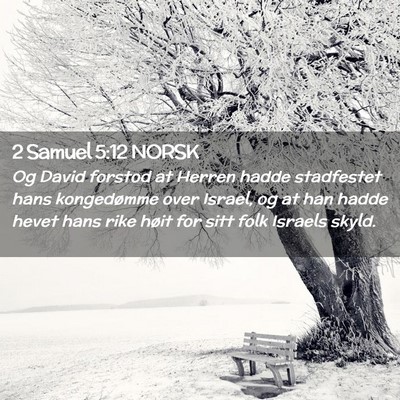 Picture 02 - 2 Samuel 5:12 NORSK - Og David forstod at Herren hadde stadfestet hans - Bible Verse Picture