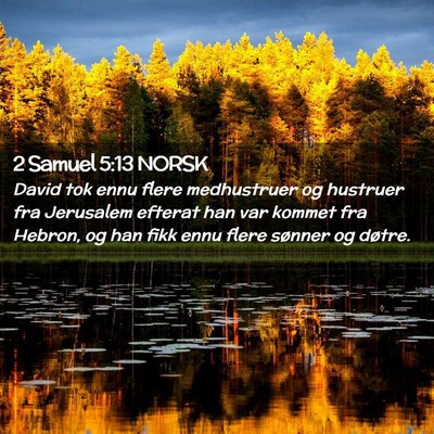 Picture 02 - 2 Samuel 5:13 NORSK - David tok ennu flere medhustruer og hustruer fra - Bible Verse Picture