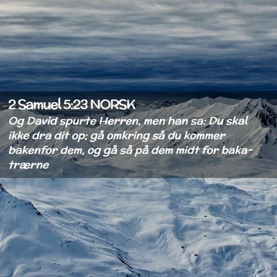Picture 02 - 2 Samuel 5:23 NORSK - Og David spurte Herren, men han sa: Du skal ikke - Bible Verse Picture