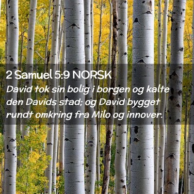 Picture 02 - 2 Samuel 5:9 NORSK - David tok sin bolig i borgen og kalte den Davids - Bible Verse Picture