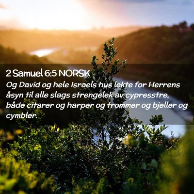 Picture 02 - 2 Samuel 6:5 NORSK - Og David og hele Israels hus lekte for Herrens - Bible Verse Picture