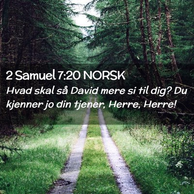 Picture 02 - 2 Samuel 7:20 NORSK - Hvad skal så David mere si til dig? Du kjenner - Bible Verse Picture