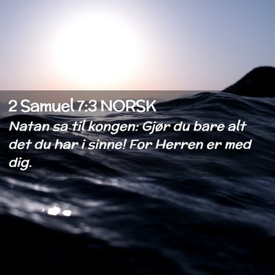 Picture 02 - 2 Samuel 7:3 NORSK - Natan sa til kongen: Gjør du bare alt det du har - Bible Verse Picture