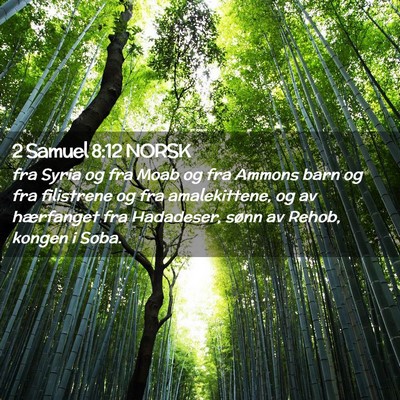 Picture 02 - 2 Samuel 8:12 NORSK - fra Syria og fra Moab og fra Ammons barn og fra - Bible Verse Picture